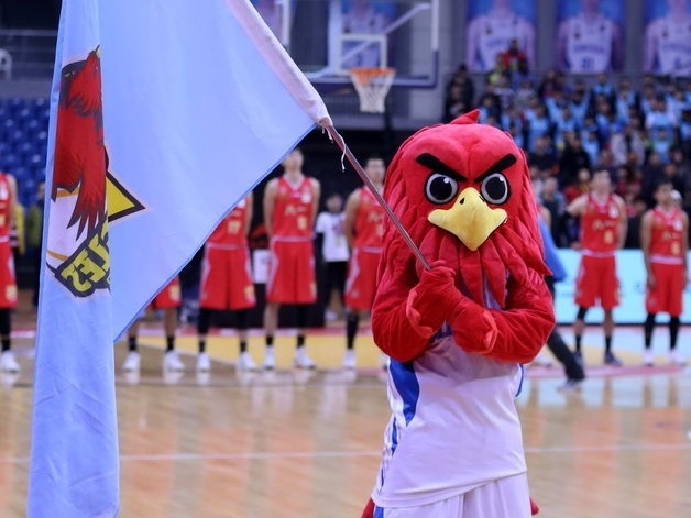 光影之外的舞者：青岛啦啦队与她们的CBA赛场故事