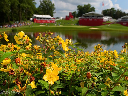 定格挥杆瞬间 洞见高球神韵