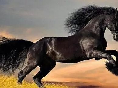 哥们儿，你真该试试那台叫“钛马”的电驴，它让我送外卖再也没怕过下雨天！