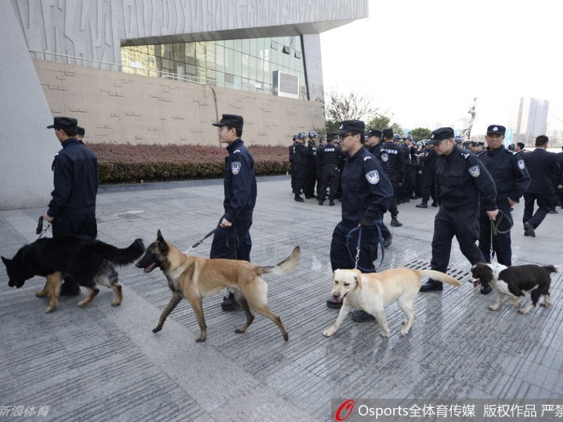 总决赛战前风云：警犬特警齐上阵，安保防线铸就钢铁赛场